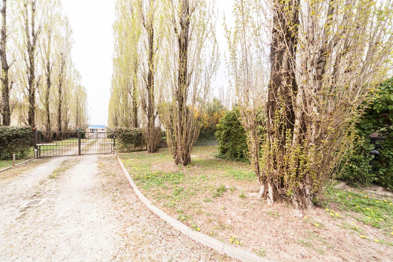 Hotel Il Borgo Di Minerva Minerbio Exteriér fotografie